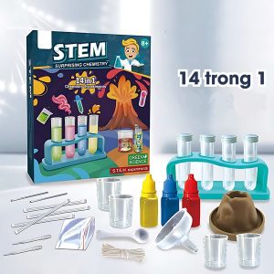 stem b